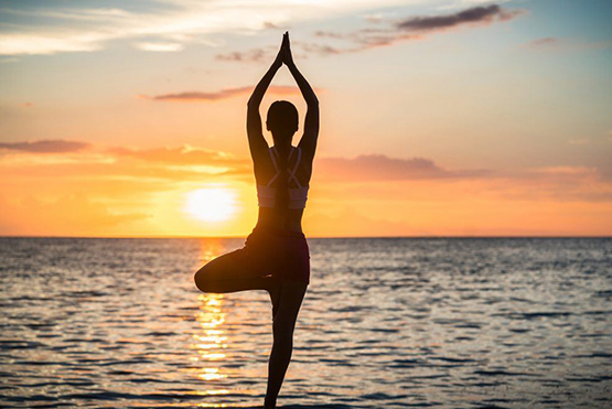 Wellness